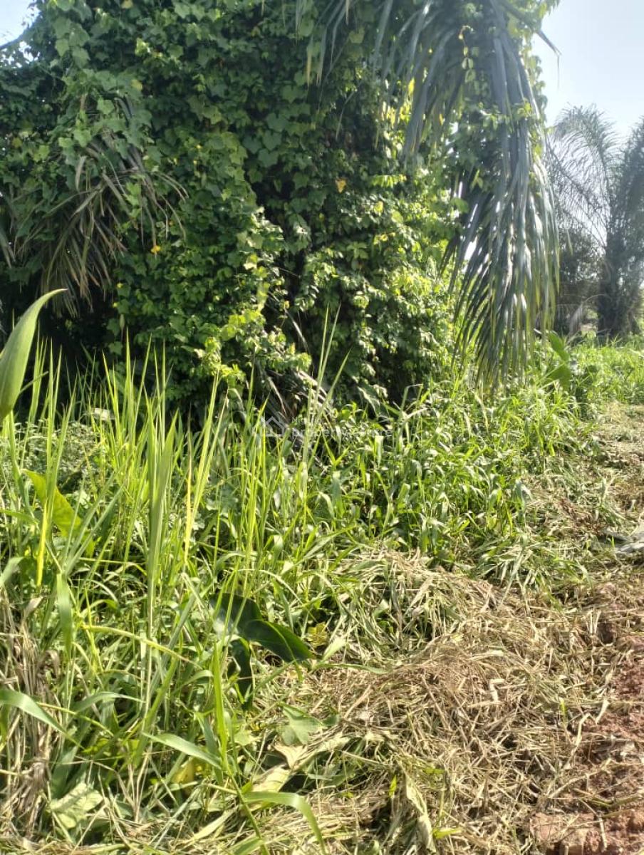 Empty Land with Little Filling at Royal Estate Isheri Olofin, Royal Estate, Off Odu Eran Bus Stop Lasu Igando Road, Isheri Olofin, Alimosho, Lagos, Mixed-use Land for Sale