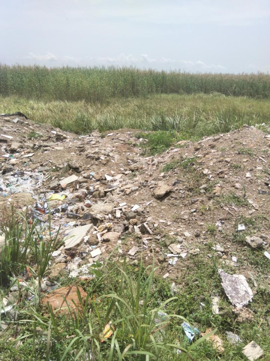 Bare Land, Lekki Foreshore, Lekki Phase 1, Lekki, Lagos, Land for Sale