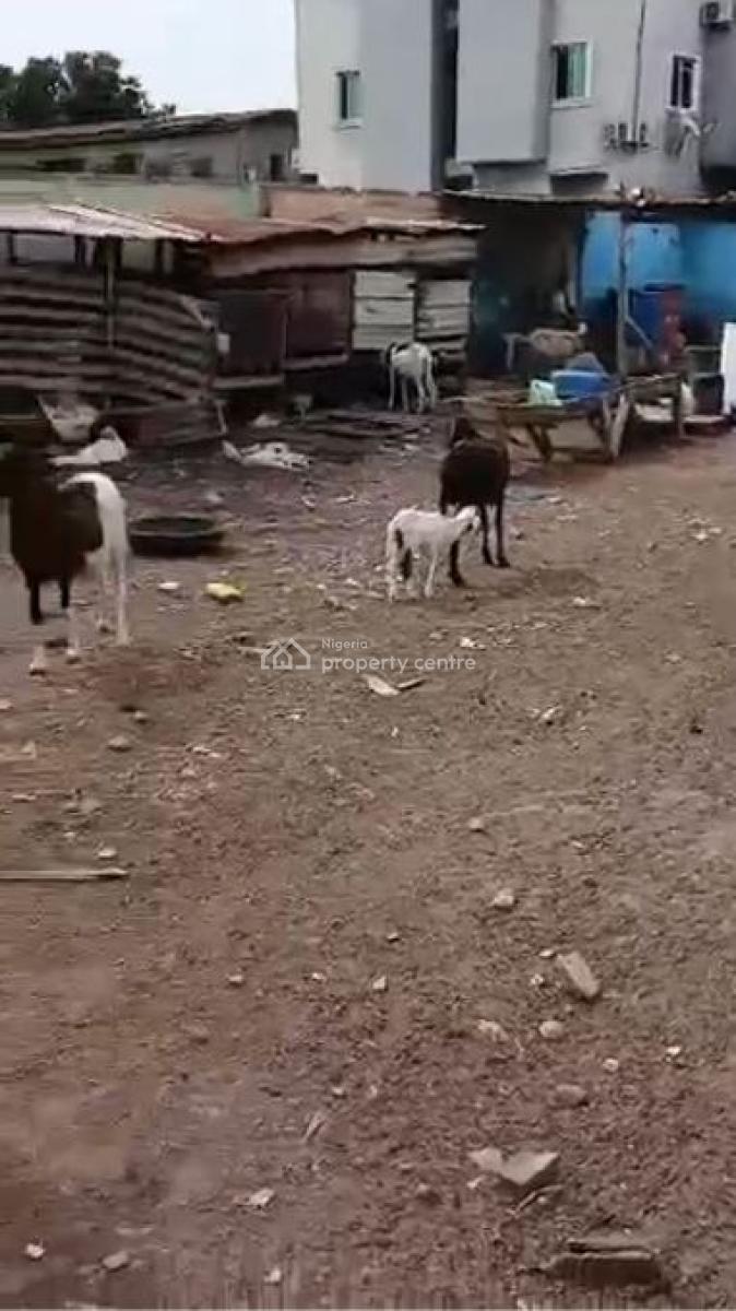 410sqm Bare Land, Ilupeju Bye-pass, Ilupeju, Lagos, Mixed-use Land for Sale