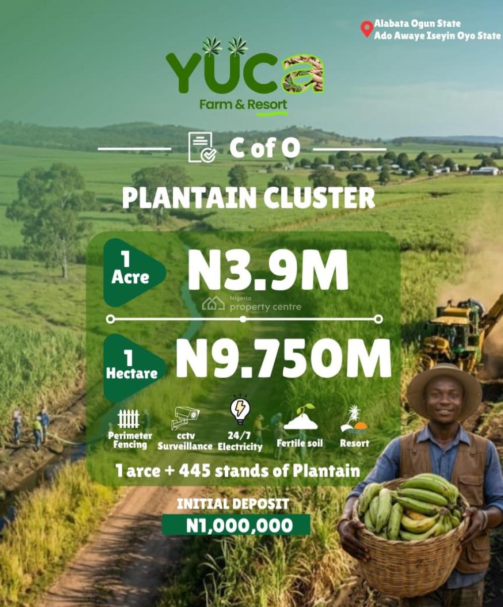 Affordable C of O Plantain Cluster Farm with High Roi, Yuca Farm & Resort in Alabata, Ogun State,ado Awaye, Iseyin, Iseyin, Oyo, Commercial Land for Sale