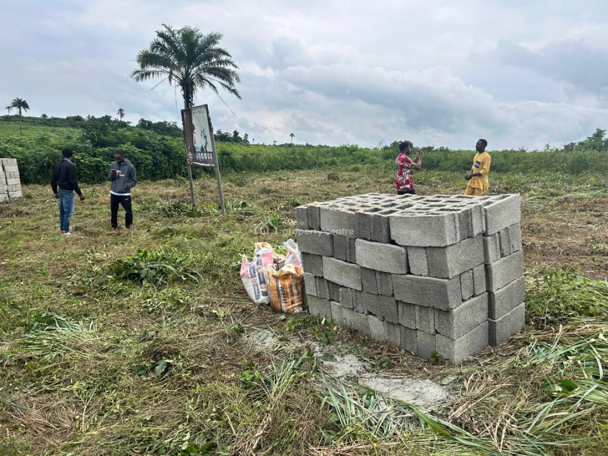Secured Land in Serene Environment with Free Documentation, Bethel Villa, Located in Omu Ala Epe, Km 46, Ogun, Mixed-use Land for Sale