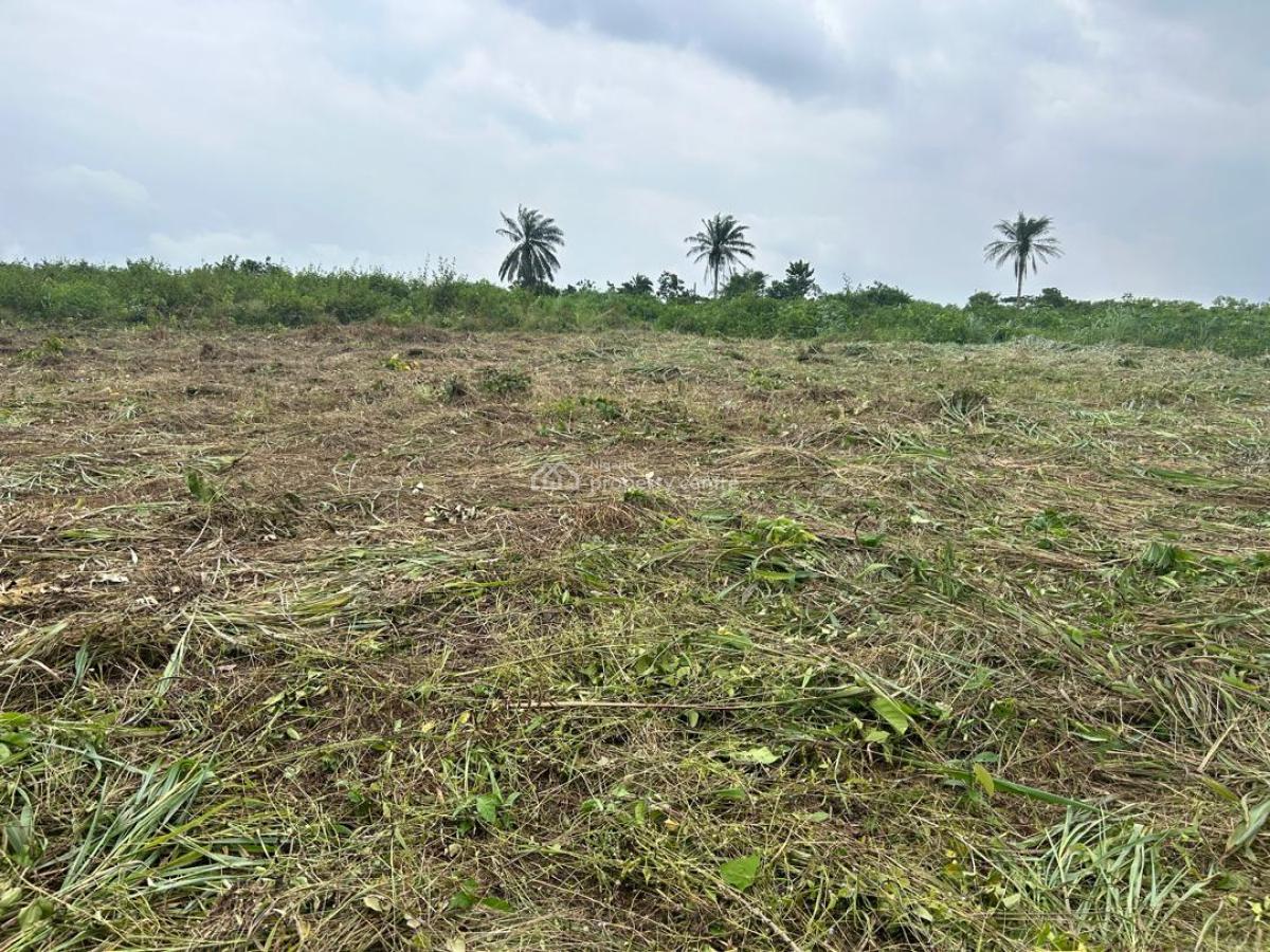 Secured Land in Serene Environment with Free Documentation, Bethel Villa, Located in Omu Ala Epe, Km 46, Ogun, Mixed-use Land for Sale