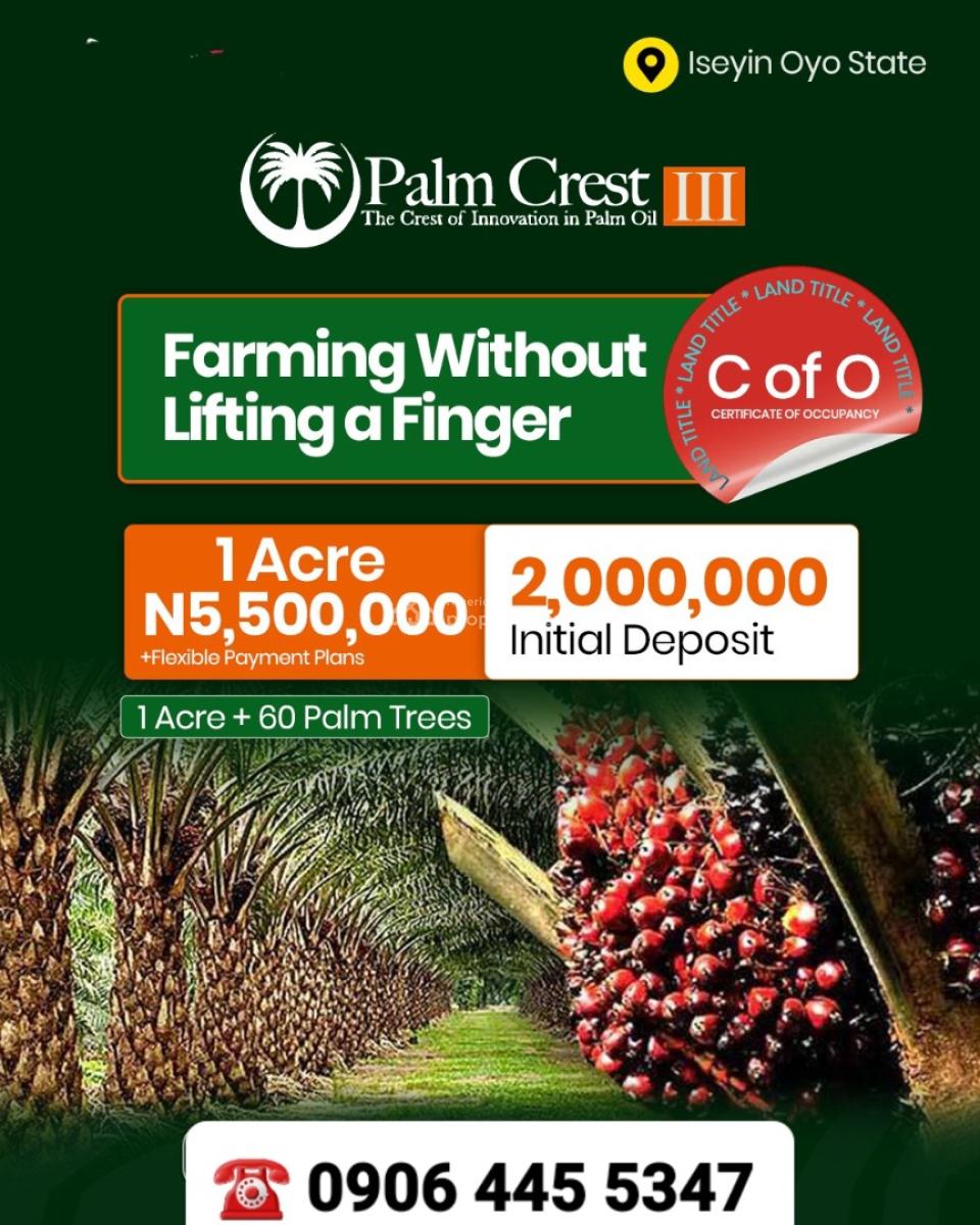 Acres & Hectares of Palm Oil Farmlands in Iseyin, Ibadan Oyo State, Palm Oil Farmlands, Iseyin, Oyo, Land for Sale