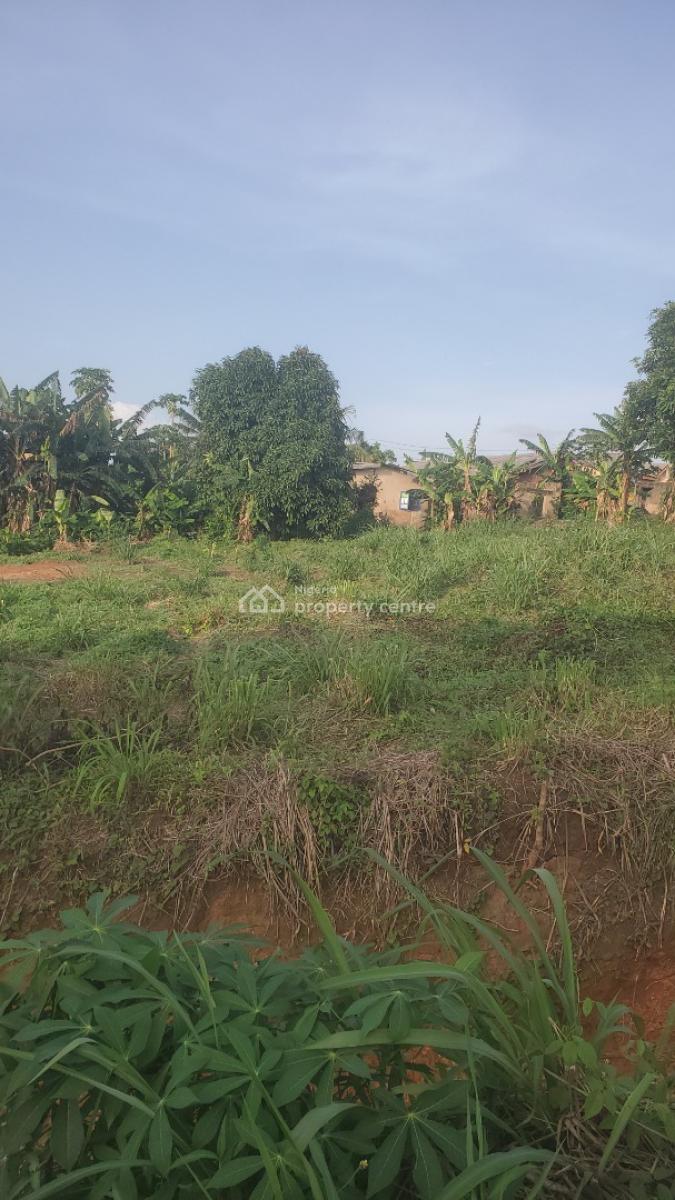 Very Highly Profitable Lands, Ishefun Road, Ayobo, Lagos, Residential Land for Sale