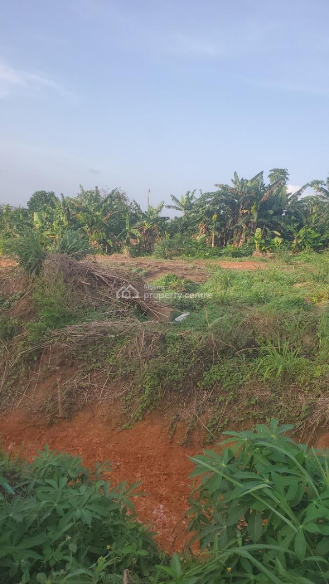 Very Highly Profitable Lands, Ishefun Road, Ayobo, Lagos, Residential Land for Sale