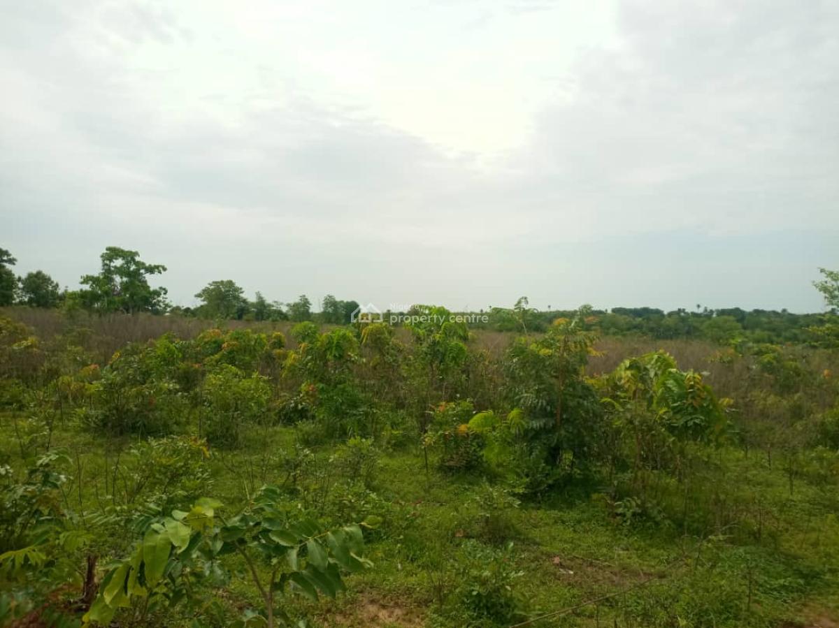 an Acres of Land for Sell, Iseyin Oyo State, Iseyin, Oyo, Mixed-use Land for Sale