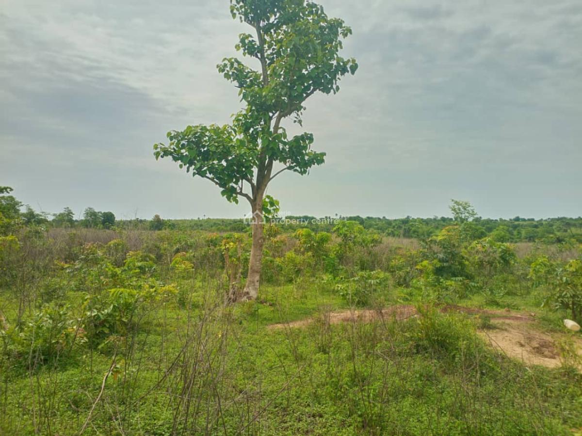 an Acres of Land for Sell, Iseyin Oyo State, Iseyin, Oyo, Mixed-use Land for Sale