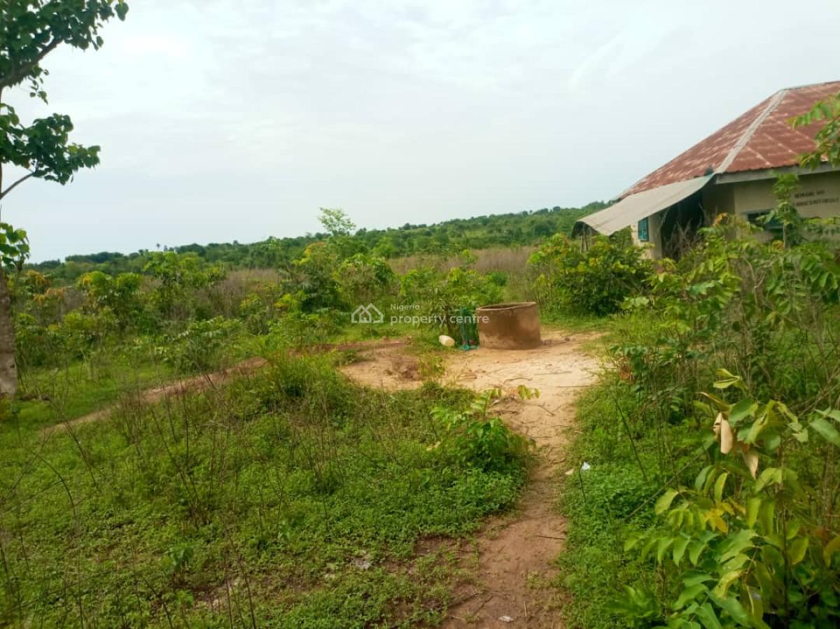 an Acres of Land for Sell, Iseyin Oyo State, Iseyin, Oyo, Mixed-use Land for Sale