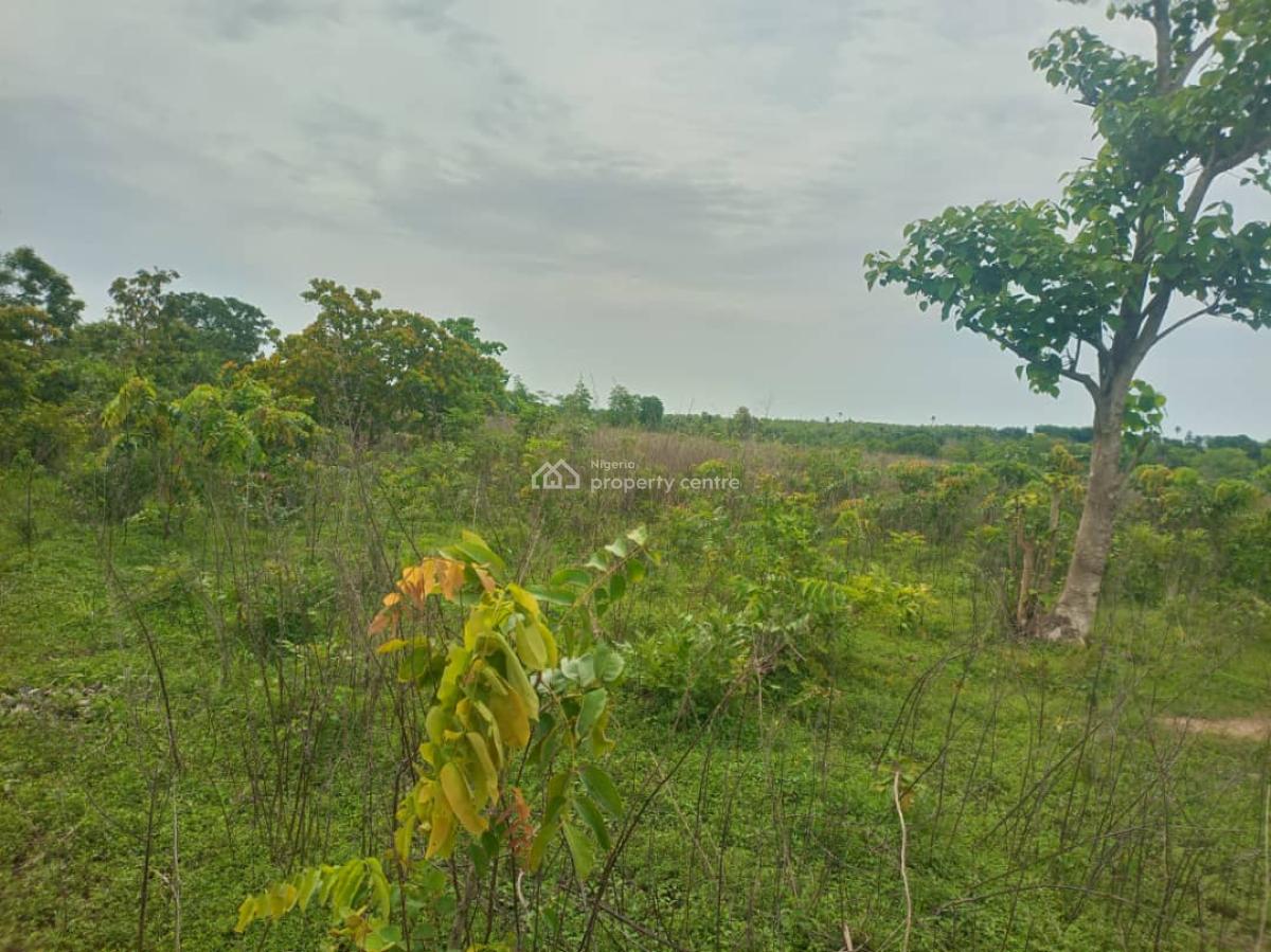 an Acres of Land for Sell, Iseyin Oyo State, Iseyin, Oyo, Mixed-use Land for Sale