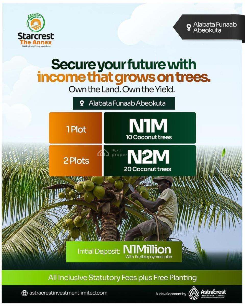 1m Buys You Land That Produces Income --- Oil Palm/coconut/plantain, The Starcrest Annex, Alabata, Funnab Axis, Abeokuta South, Ogun, Commercial Land for Sale