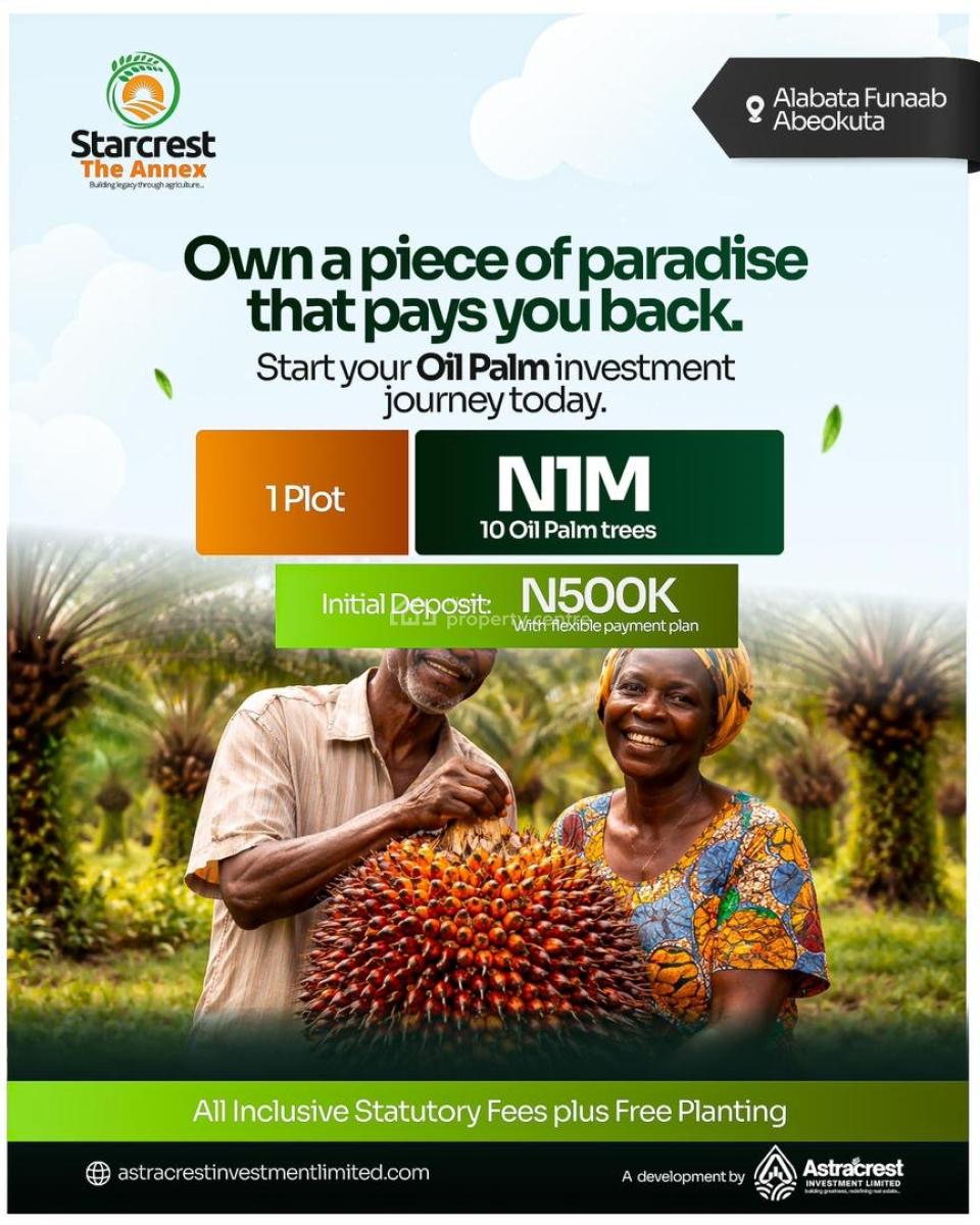 1m Buys You Land That Produces Income --- Oil Palm/coconut/plantain, The Starcrest Annex, Alabata, Funnab Axis, Abeokuta South, Ogun, Commercial Land for Sale