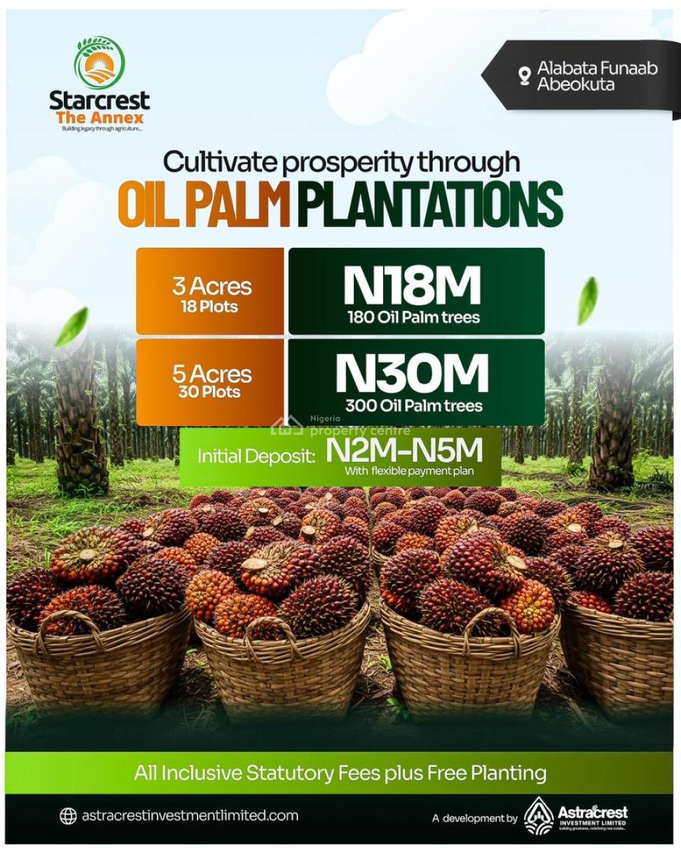 1m Buys You Land That Produces Income --- Oil Palm/coconut/plantain, The Starcrest Annex, Alabata, Funnab Axis, Abeokuta South, Ogun, Commercial Land for Sale