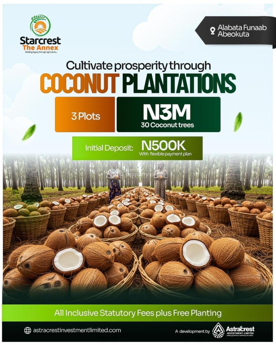1m Buys You Land That Produces Income --- Oil Palm/coconut/plantain, The Starcrest Annex, Alabata, Funnab Axis, Abeokuta South, Ogun, Commercial Land for Sale
