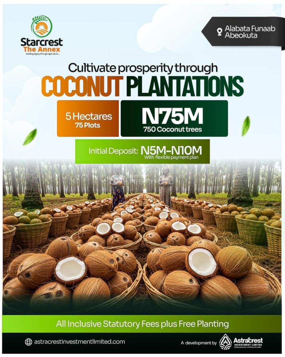 1m Buys You Land That Produces Income --- Oil Palm/coconut/plantain, The Starcrest Annex, Alabata, Funnab Axis, Abeokuta South, Ogun, Commercial Land for Sale