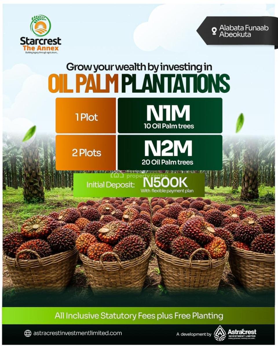 1m Buys You Land That Produces Income --- Oil Palm/coconut/plantain, The Starcrest Annex, Alabata, Funnab Axis, Abeokuta South, Ogun, Commercial Land for Sale