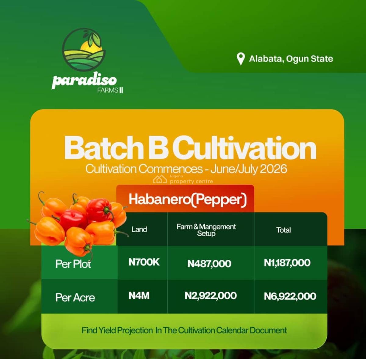 Tomato and Pepper Farm: Invest and Earn Massive Profit Every 6months., Alabata, Abeokuta North, Ogun, Commercial Land for Sale
