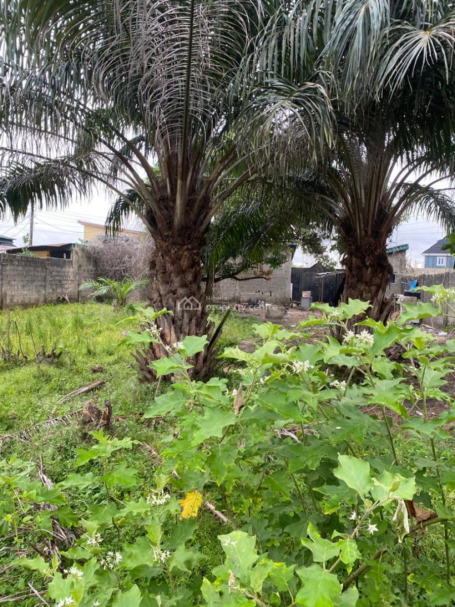 Fenced and Gated Land with 4 Rolls of Shops, Badore Road, Badore, Ajah, Lagos, Mixed-use Land for Sale