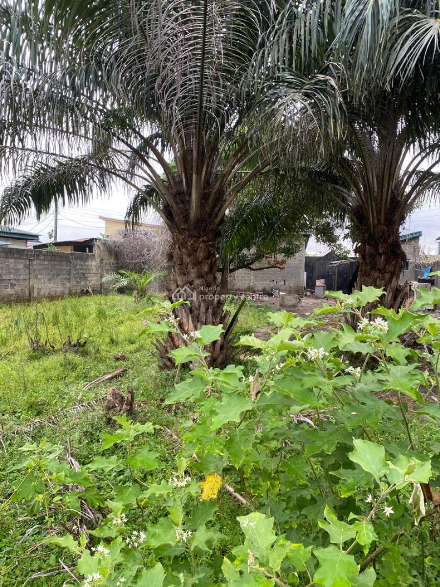 Fenced and Gated Land with 4 Rolls of Shops, Badore Road, Badore, Ajah, Lagos, Mixed-use Land for Sale