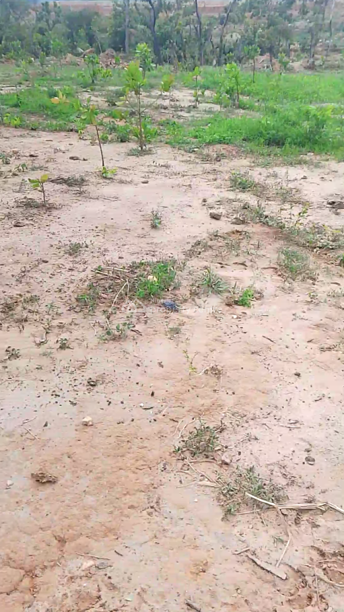 500sqm Estate Plot for 4-bedroom Detached Penthouse + Bq, Boulevard Estate, Adjacent Gilmor Yard, Guzape 2, Guzape District, Abuja, Residential Land for Sale