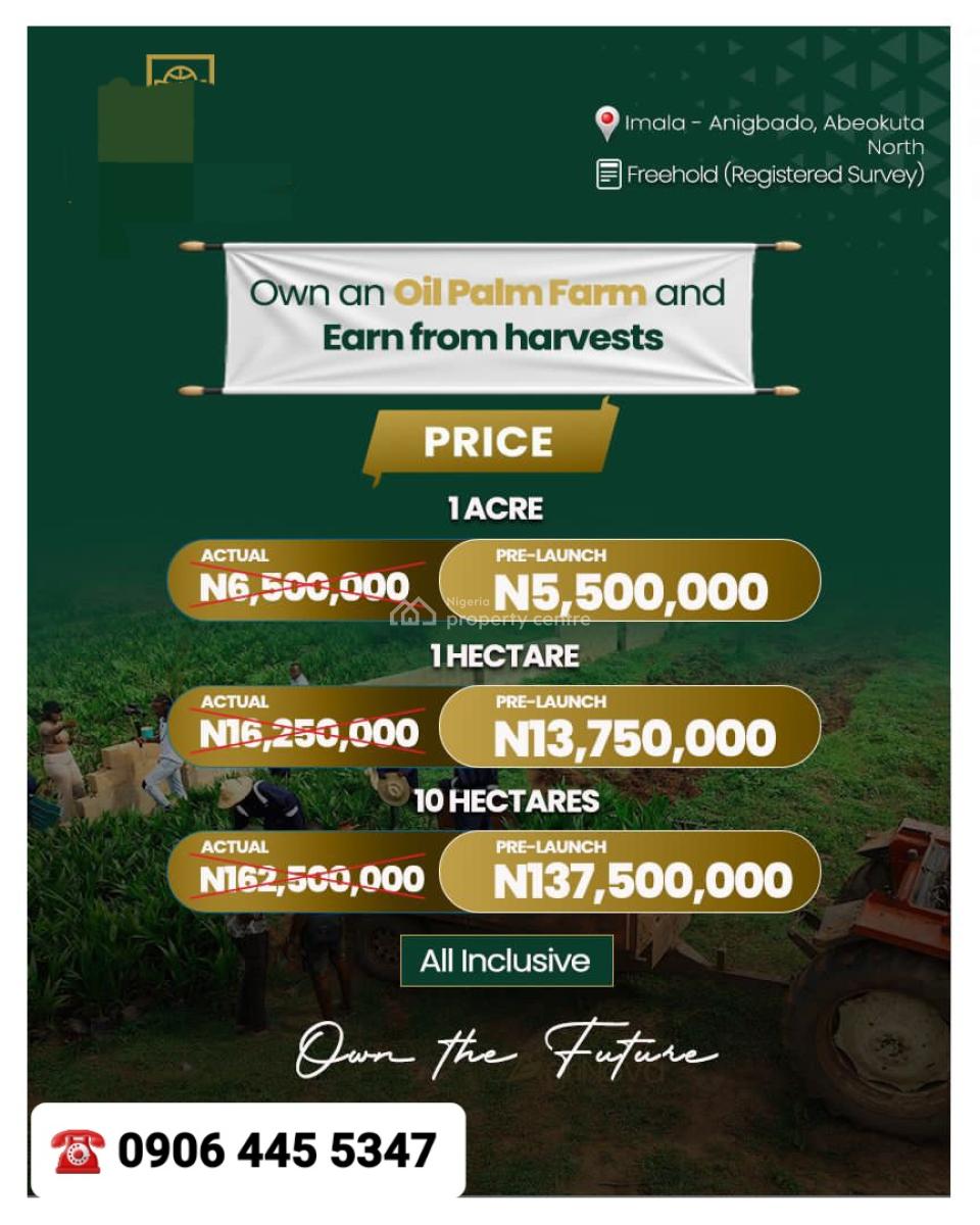 Acres & Hectare of Palm Oil Farmland in Imala-anigbado, Abeokuta North, Imala-anigbado, Abeokuta, Abeokuta North, Ogun, Land for Sale