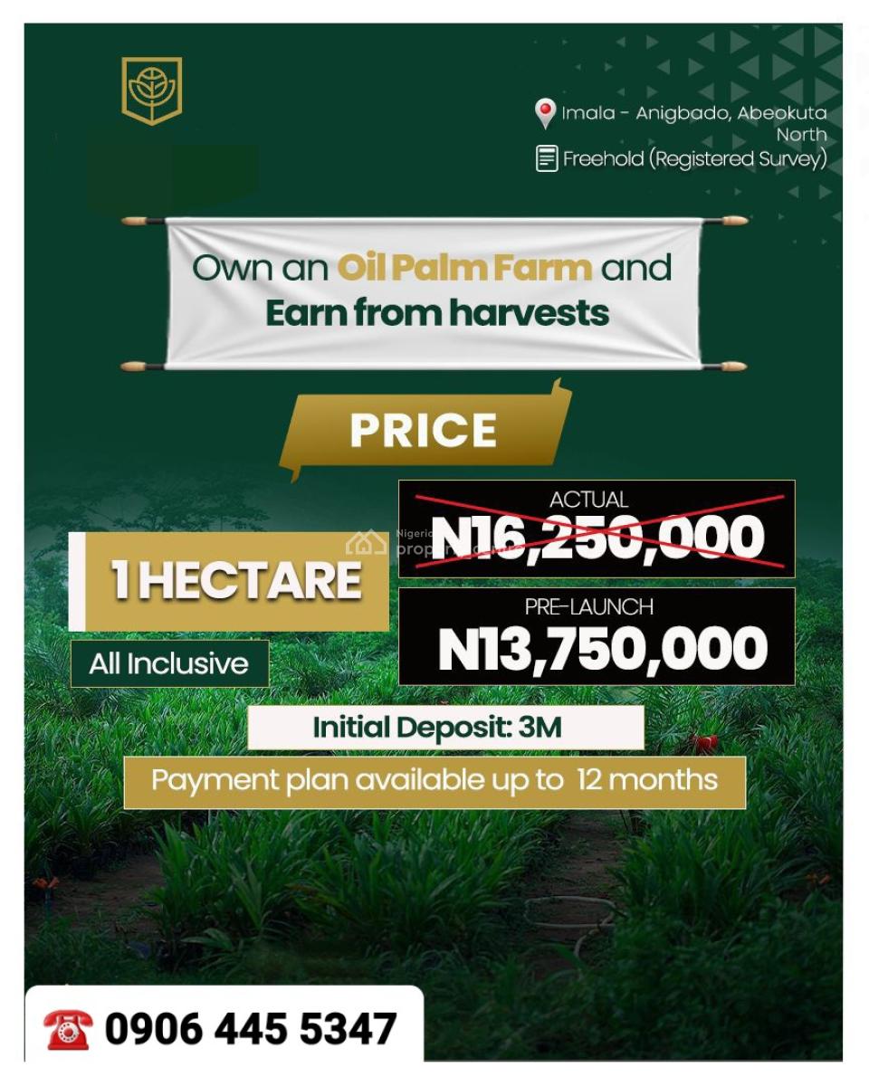 Acres & Hectare of Palm Oil Farmland in Imala-anigbado, Abeokuta North, Imala-anigbado, Abeokuta, Abeokuta North, Ogun, Land for Sale