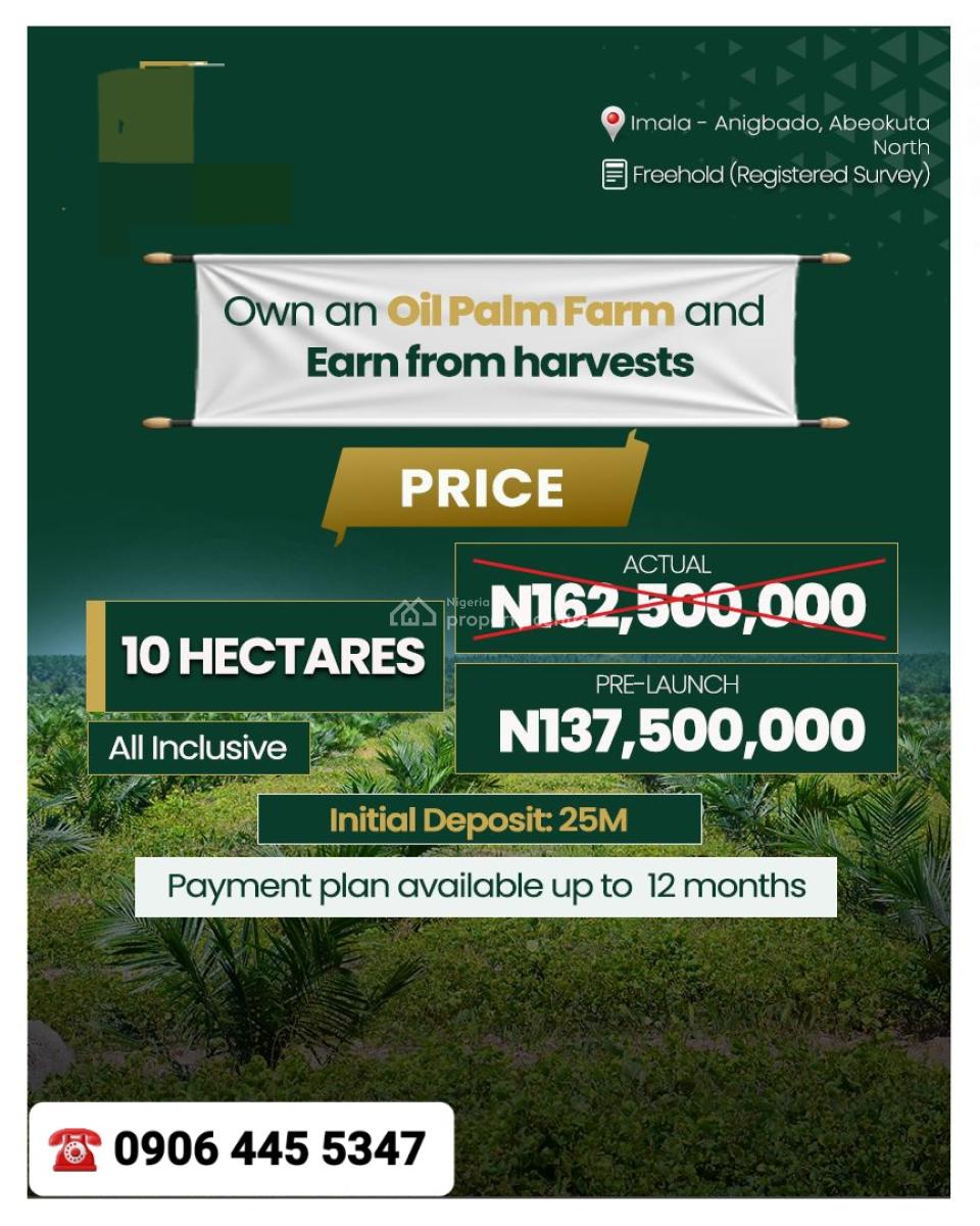 Acres & Hectare of Palm Oil Farmland in Imala-anigbado, Abeokuta North, Imala-anigbado, Abeokuta, Abeokuta North, Ogun, Land for Sale