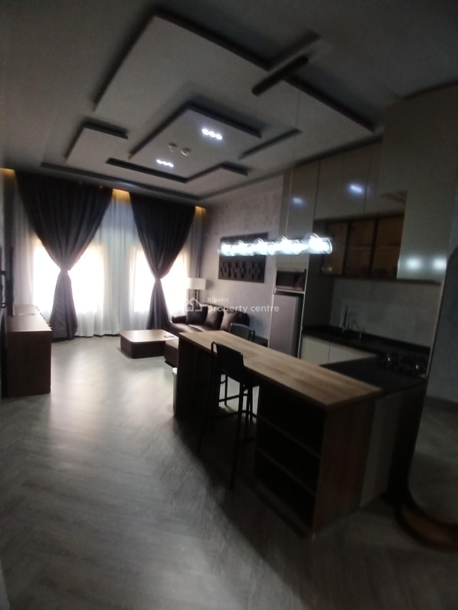 Fully Furnished 1 Bedroom Block of Flat, Asokoro Abuja Diplomatic Zone, Asokoro District, Abuja, House for Rent