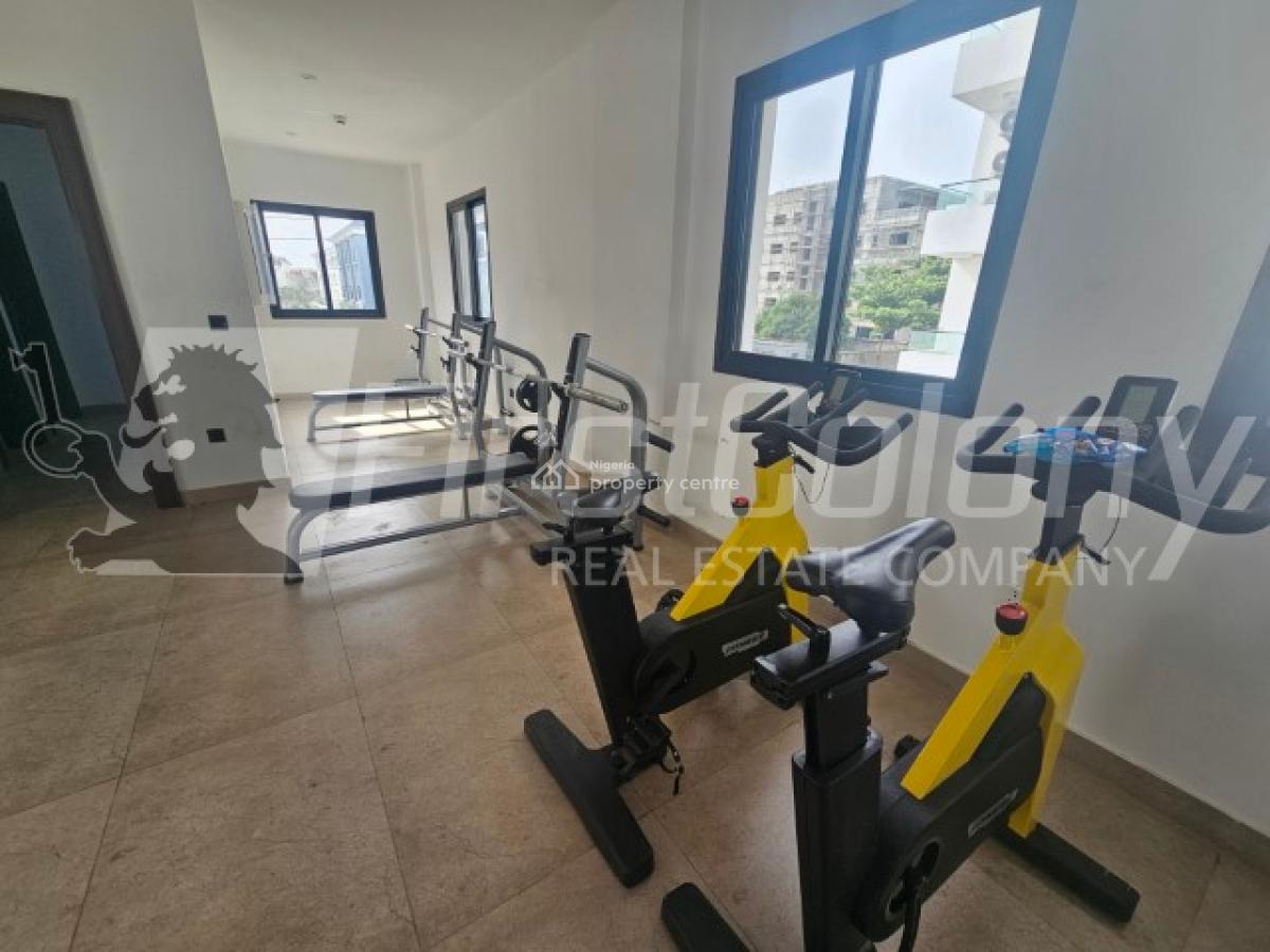 New and Spacious 3 Bedroom Apartment with Excellent Facilities, Ikoyi, Lagos, Flat / Apartment for Rent