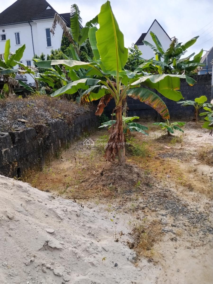 1 Plot of Land, Amechi School Road Obirikwerre, Port Harcourt, Rivers, Mixed-use Land for Sale