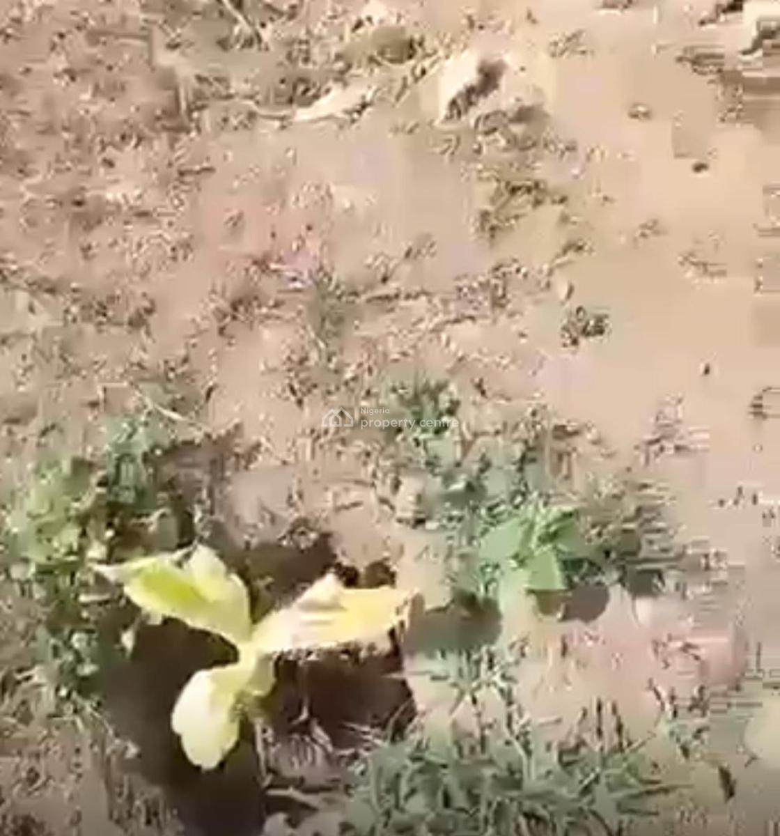 Planting Has Officially Commenced at Next Generation Farm City!, Ofuape Village, After Rounder Junction, Igbo Ora Road, Abeokuta, Ogun, Abeokuta South, Ogun, Commercial Land for Sale