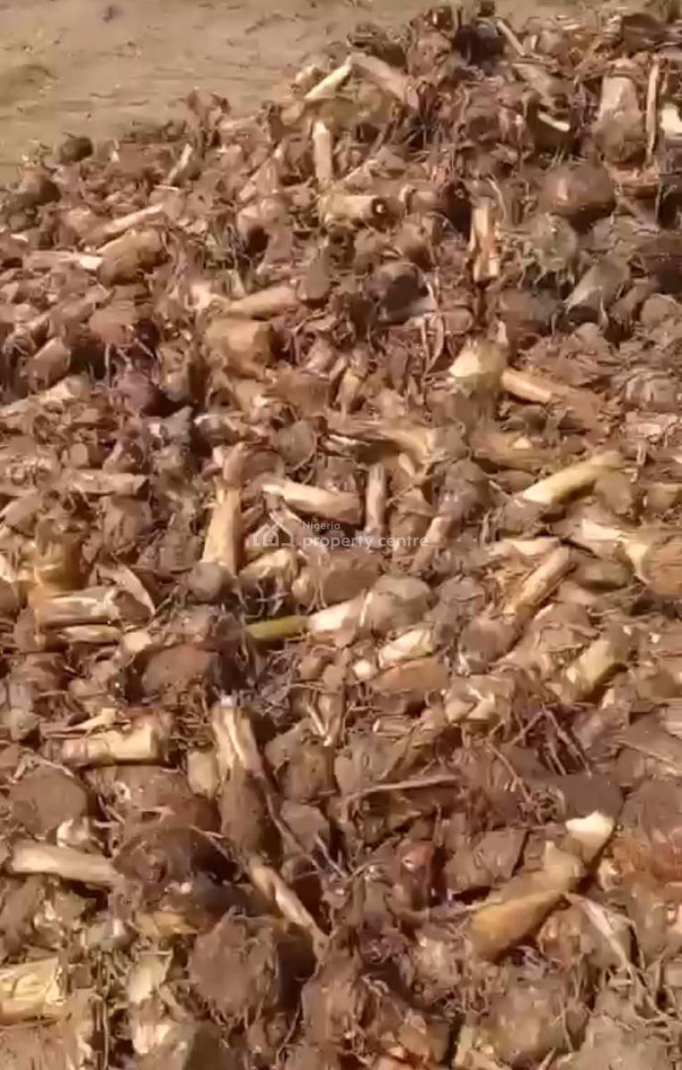Own a Farm Land By Investing  in Cocoa Republic, Obafemi Owode, Ogun, Commercial Land for Sale
