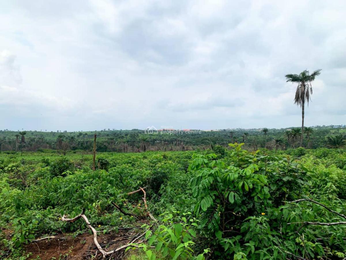 Invest in The Future of Agriculture with Alphamark Farm City Extension, Omu, Ijebu Ode, Ogun, Commercial Land for Sale