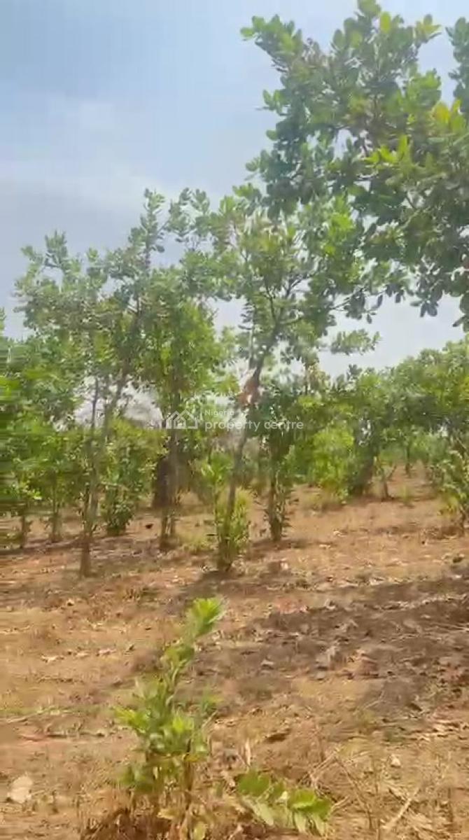 Exclusive 2,534sqm Residential Plot, Guzape 2 A11, Guzape District, Abuja, Residential Land for Sale