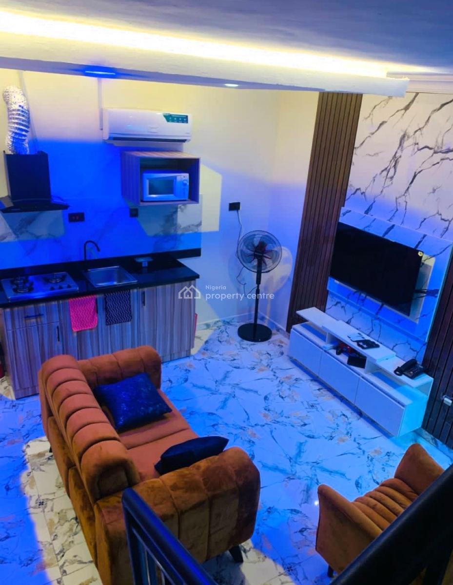 Nicely Furnished and Serviced Luxury 1 Bedroom Duplex Apartment, Off Bode Thomas, Bode Thomas, Surulere, Lagos, Mini Flat (room and Parlour) Short Let