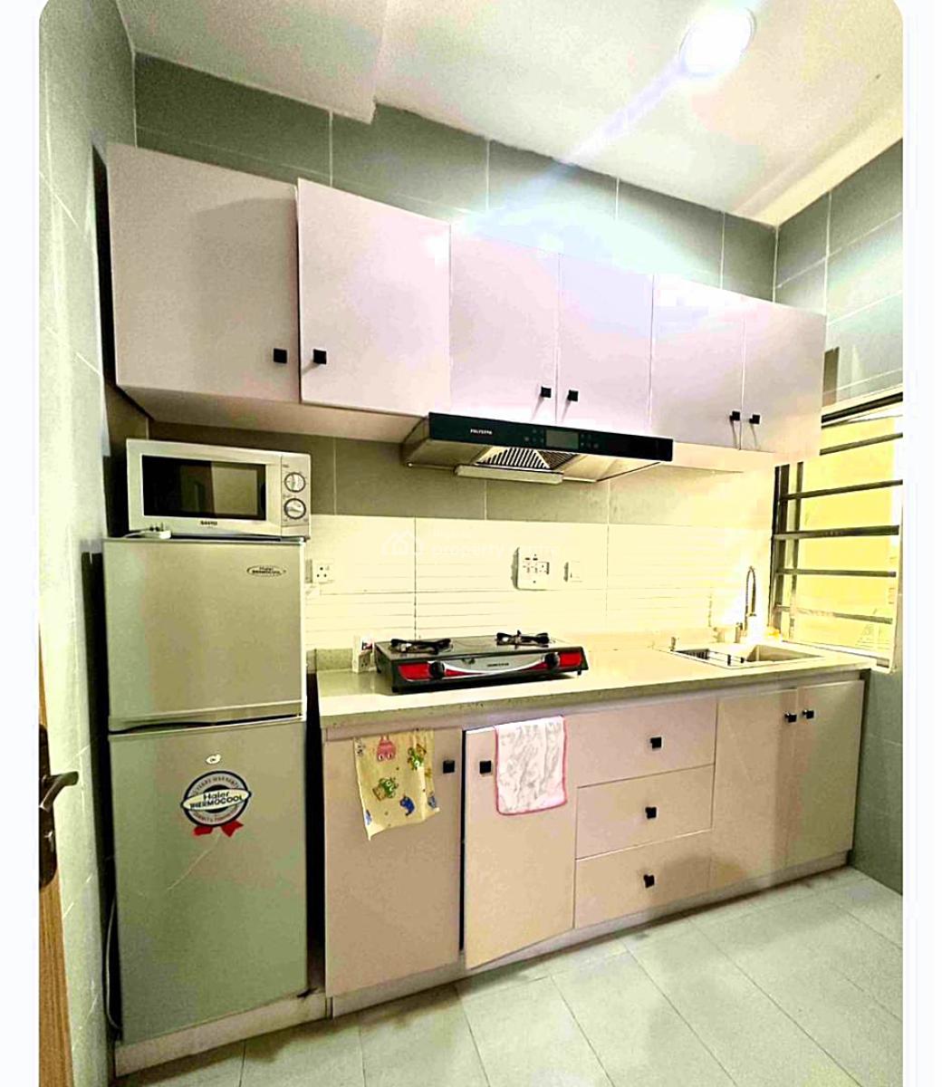Wonderfully Furnished and Well Serviced Luxury 2 Bedroom Apartment, Off Bode Thomas, Surulere, Surulere, Lagos, Flat / Apartment Short Let