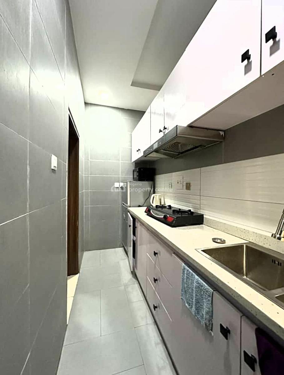 Tastefully Furnished and Serviced Luxury 1 Bedroom Apartment, Off Bode Thomas, Surulere, Surulere, Lagos, Mini Flat (room and Parlour) Short Let