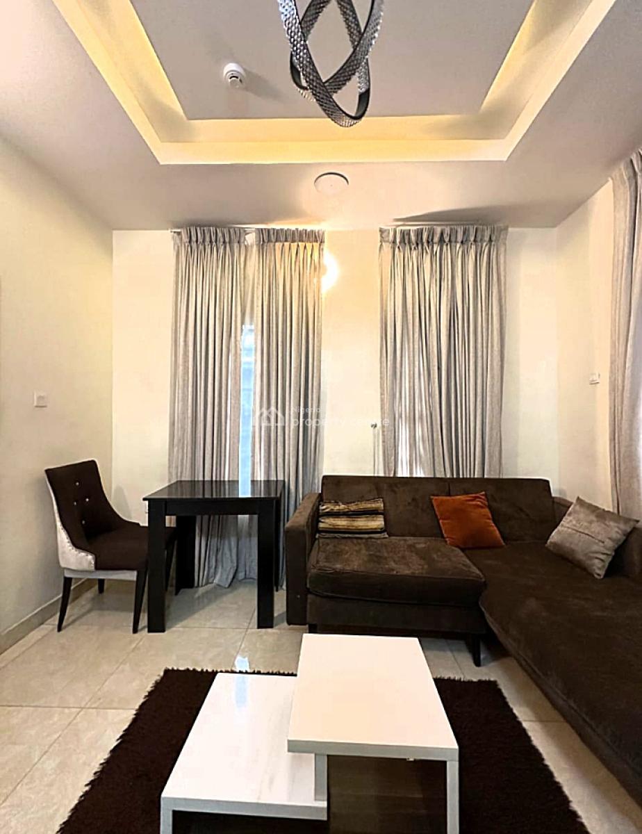 Tastefully Furnished and Serviced Luxury 1 Bedroom Apartment, Off Bode Thomas, Surulere, Surulere, Lagos, Mini Flat (room and Parlour) Short Let