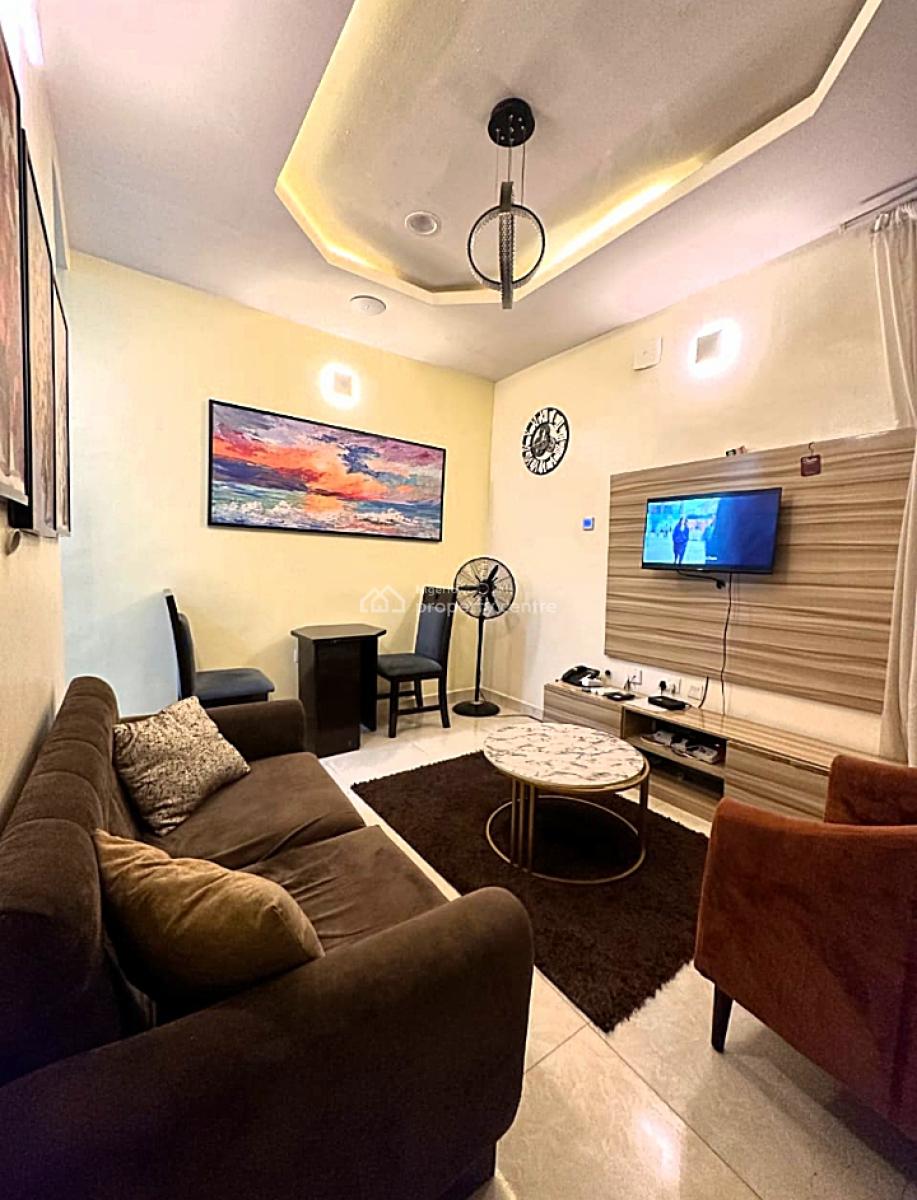 Stylishly Furnished and Well Serviced Luxury 1 Bedroom Apartment, Off Bode Thomas, Surulere, Lagos, Mini Flat (room and Parlour) Short Let