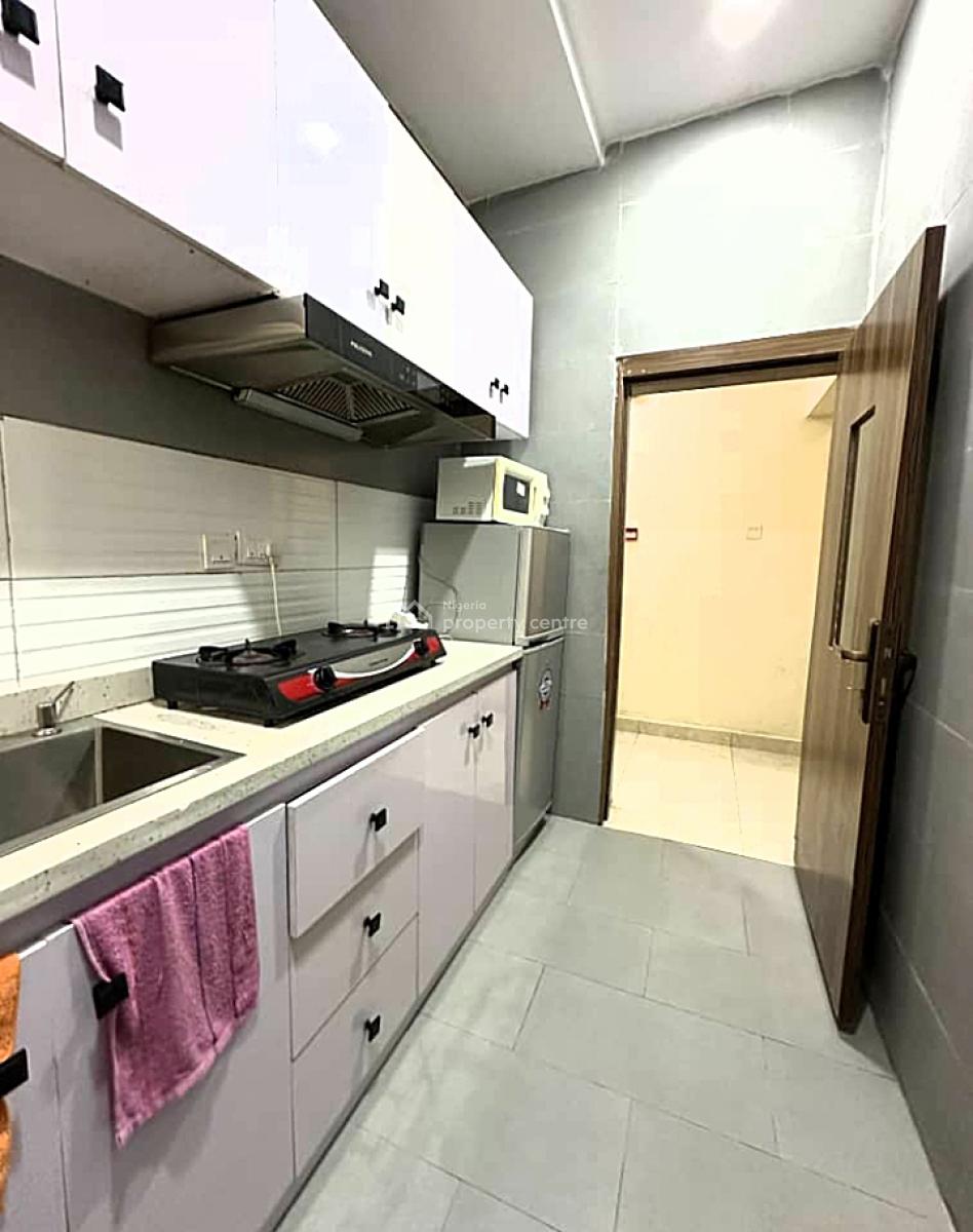 Stylishly Furnished and Well Serviced Luxury 1 Bedroom Apartment, Off Bode Thomas, Surulere, Lagos, Mini Flat (room and Parlour) Short Let