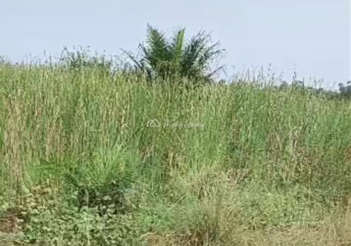 Buy and Build Estate Facing The Express at Coastal Road, Whitegold City, Orofun, Lekki Free Trade Zone, Ibeju Lekki, Lagos, Mixed-use Land for Sale