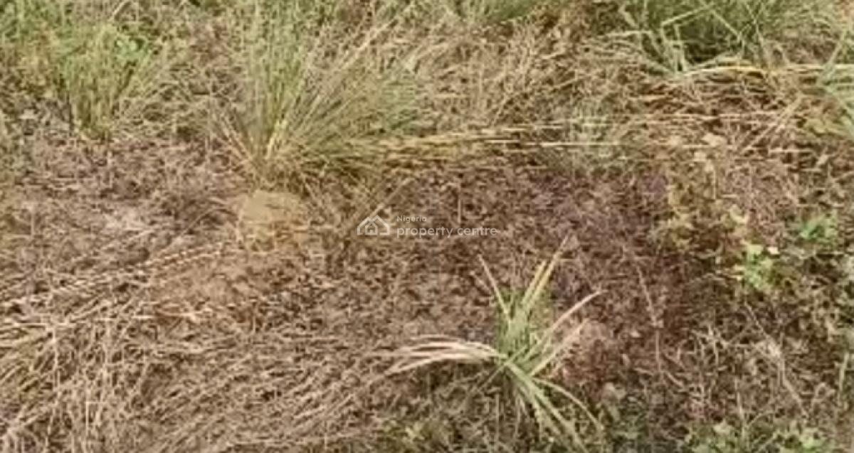 Buy and Build Estate Facing The Express at Coastal Road, Whitegold City, Orofun, Lekki Free Trade Zone, Ibeju Lekki, Lagos, Mixed-use Land for Sale