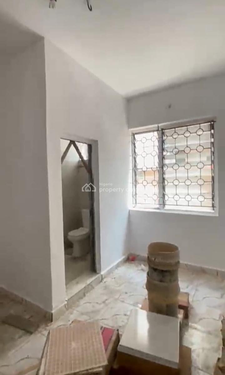 Newly Renovated 4 Bedroom Apartment (for Residential and Commercial), Surulere, Lagos, Flat / Apartment for Rent