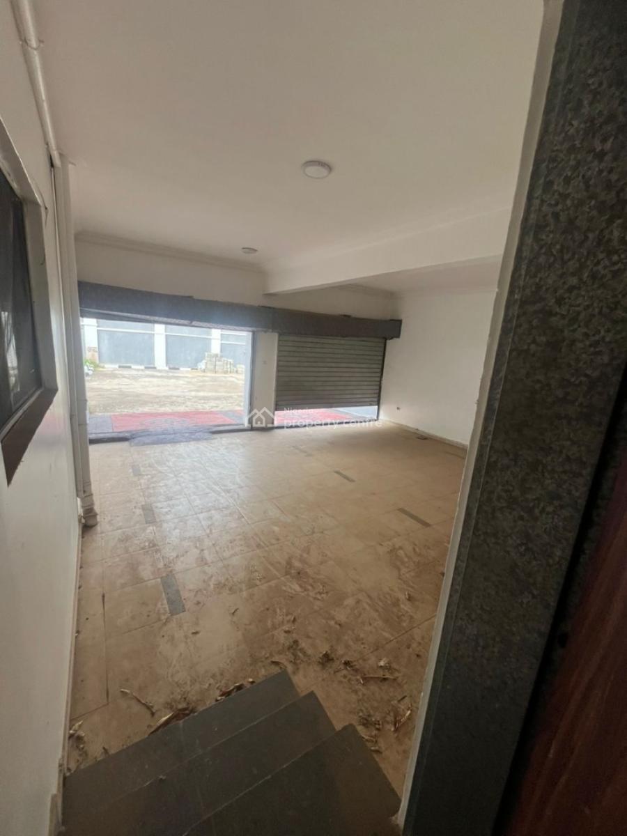 8bedroom Fully Detached Duplex with 2rooms Guest Chalet and a Basement, Asokoro District, Abuja, Detached Duplex for Rent