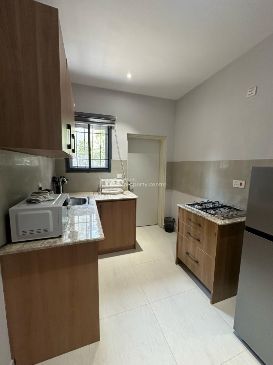 Luxury and Fully Furnished 2 Bedroom Apartmenwith 24 Hours Electricity, Asokoro District, Abuja, Flat / Apartment for Rent