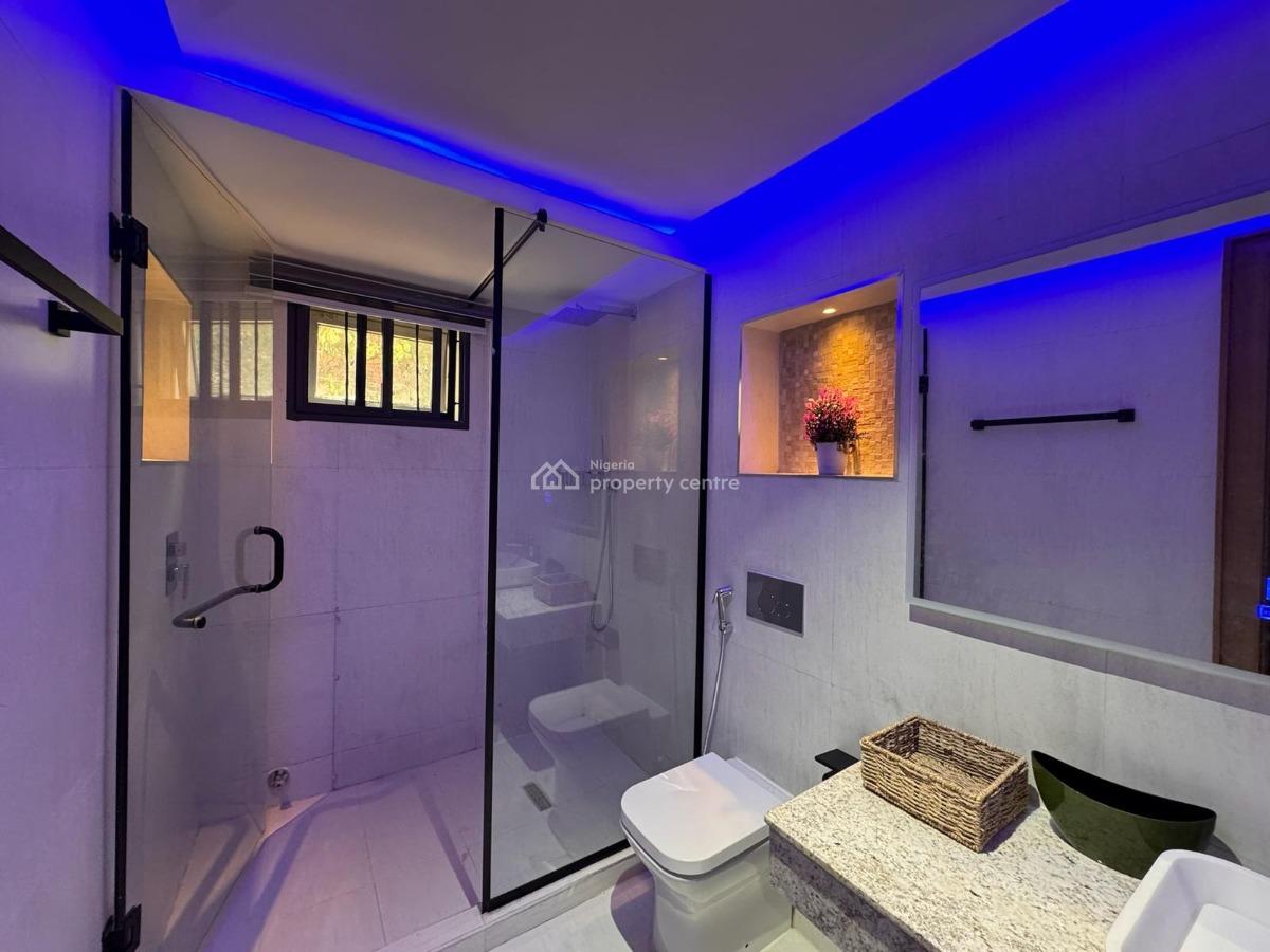 Luxury and Serviced 1 Bedroom Apartment with 24/7 Electricity, Asokoro District, Abuja, Flat / Apartment for Rent
