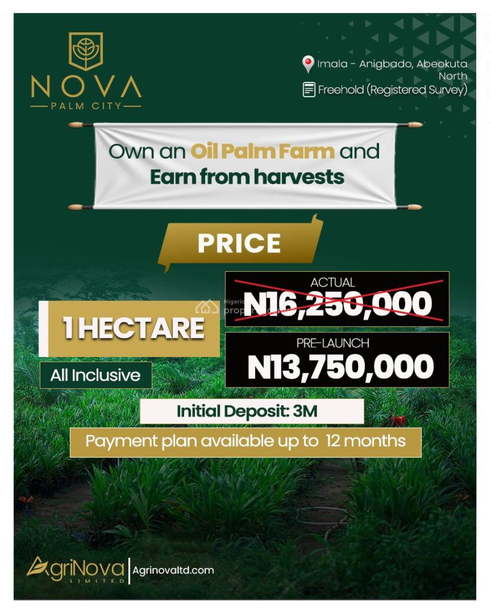 Nova Palm Oil City( Palm Oil Farm), Nova Palm City Is Situated at Lmala Anigbado, Abeokuta North, Ogun, Commercial Land for Sale
