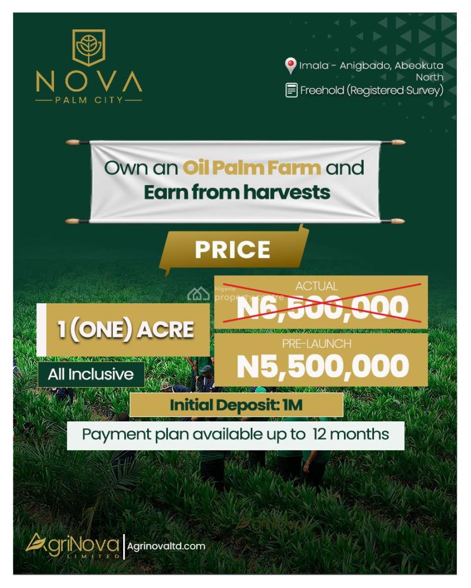 Nova Palm Oil City( Palm Oil Farm), Nova Palm City Is Situated at Lmala Anigbado, Abeokuta North, Ogun, Commercial Land for Sale