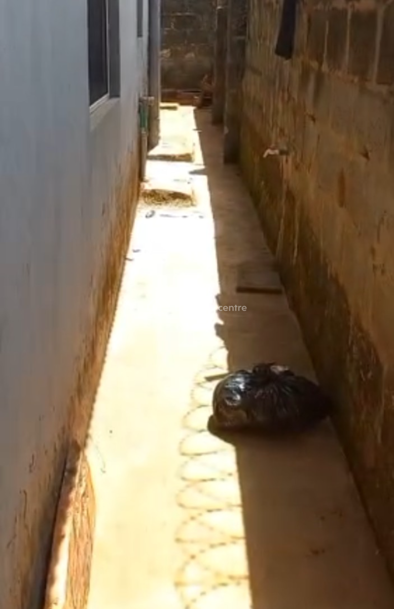 Decently Built Two Units of Mini Flats on Half Plot of Land, Ayobo, Lagos, House for Sale
