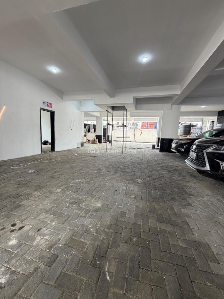 Brand New 2 Bedroom Apartment with Bq and  Swimming Pool and Gym, Off Freedom Way, Lekki, Lagos, Flat / Apartment for Rent