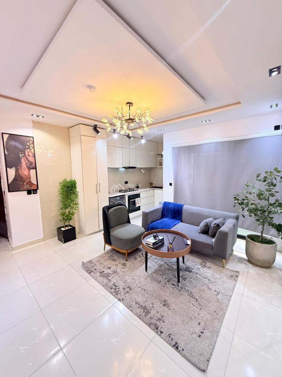 Fully Furnished 1 Bedrood Apartment in Ikate Lekki, Ikate, Lekki, Lagos, Mini Flat (room and Parlour) for Sale